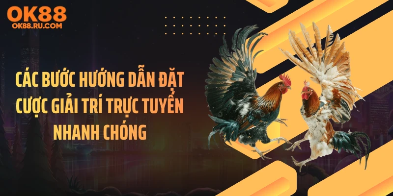 Các bước hướng dẫn đặt cược giải trí trực tuyến nhanh chóng