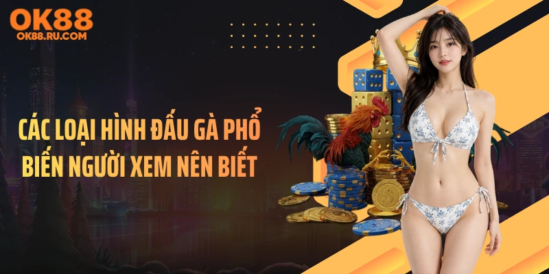 Các loại hình đấu gà phổ biến người xem nên biết