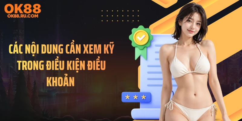Các nội dung cần xem kỹ trong điều kiện điều khoản