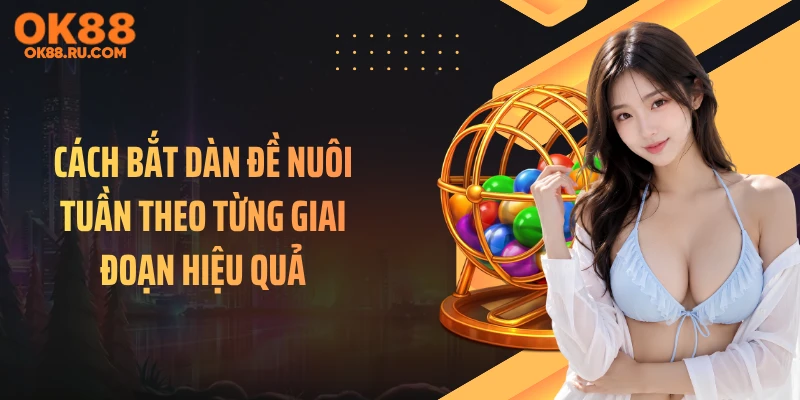 Cách bắt dàn đề nuôi tuần theo từng giai đoạn hiệu quả