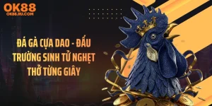 Đá Gà Cựa Dao -  Đấu Trường Sinh Tử Nghẹt Thở Từng Giây