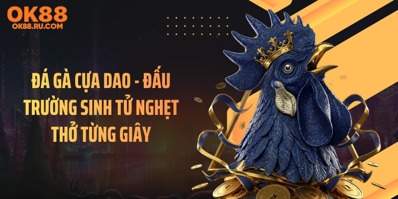 Đá Gà Cựa Dao -  Đấu Trường Sinh Tử Nghẹt Thở Từng Giây