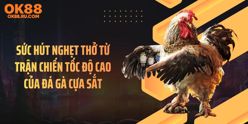 Sức Hút Nghẹt Thở Từ Trận Chiến Tốc Độ Cao Của Đá Gà Cựa Sắt