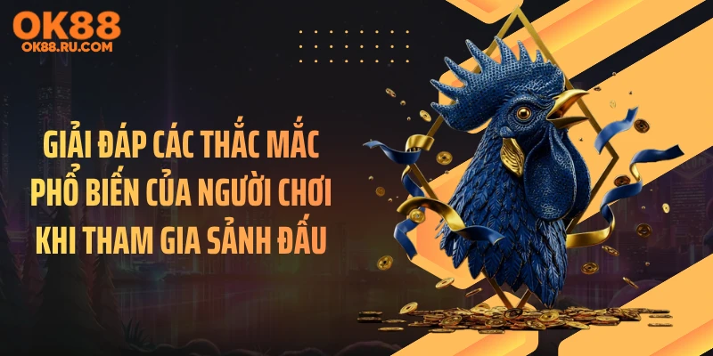 Giải đáp các thắc mắc phổ biến của người chơi khi tham gia sảnh đấu