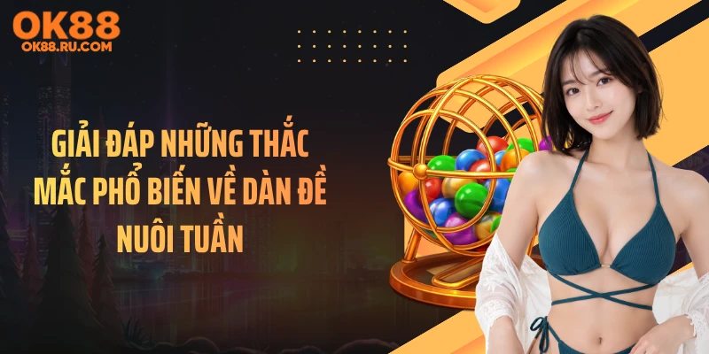 Giải đáp những thắc mắc phổ biến về dàn đề nuôi tuần