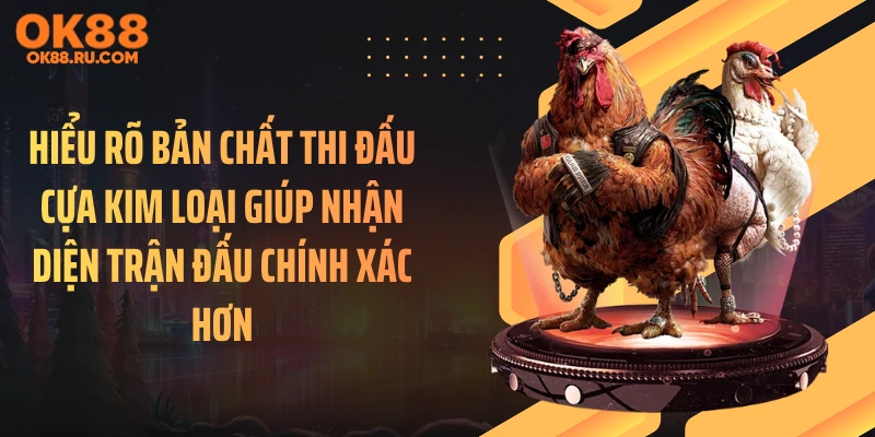 Hiểu rõ bản chất thi đấu cựa kim loại giúp nhận diện trận đấu chính xác hơn