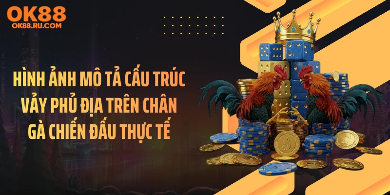 Hình ảnh mô tả cấu trúc vảy phủ địa trên chân gà chiến đấu thực tế