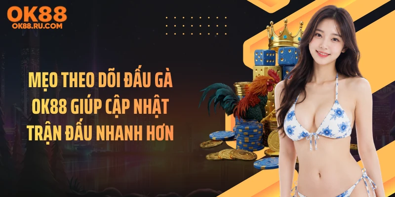 Mẹo theo dõi đấu gà OK88 giúp cập nhật trận đấu nhanh hơn