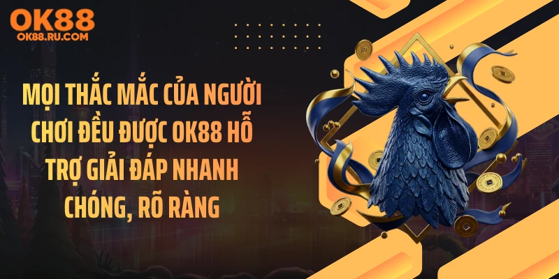 Mọi thắc mắc của người chơi đều được OK88 hỗ trợ giải đáp nhanh chóng, rõ ràng