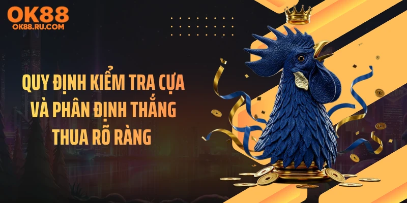 Quy định kiểm tra cựa và phân định thắng thua rõ ràng 