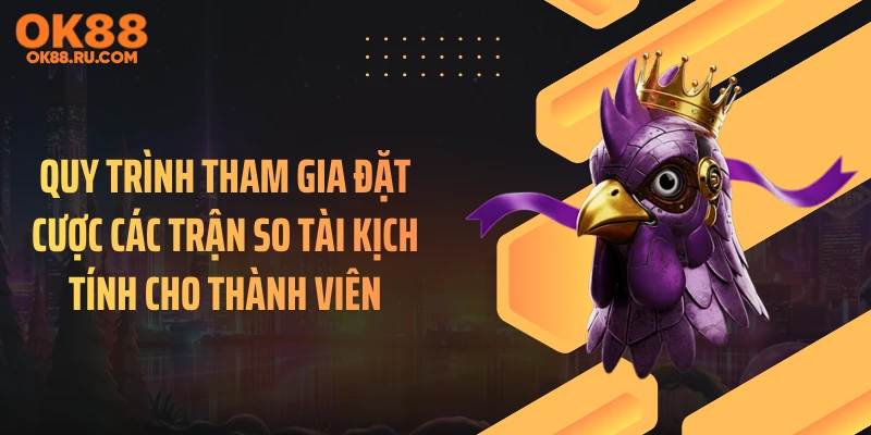 Quy trình tham gia đặt cược các trận so tài kịch tính cho thành viên
