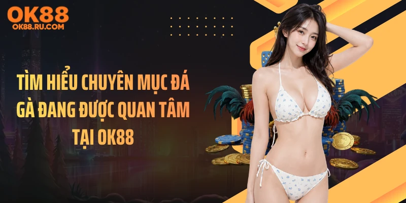 Tìm hiểu chuyên mục đá gà đang được quan tâm tại OK88