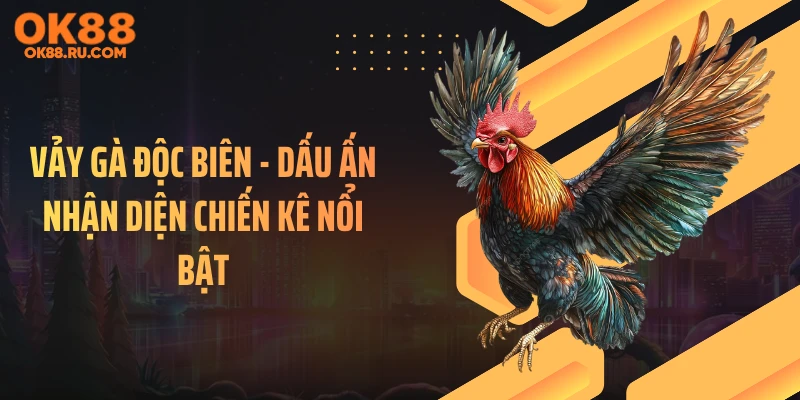 Vảy Gà Độc Biên - Dấu Ấn Nhận Diện Chiến Kê Nổi Bật